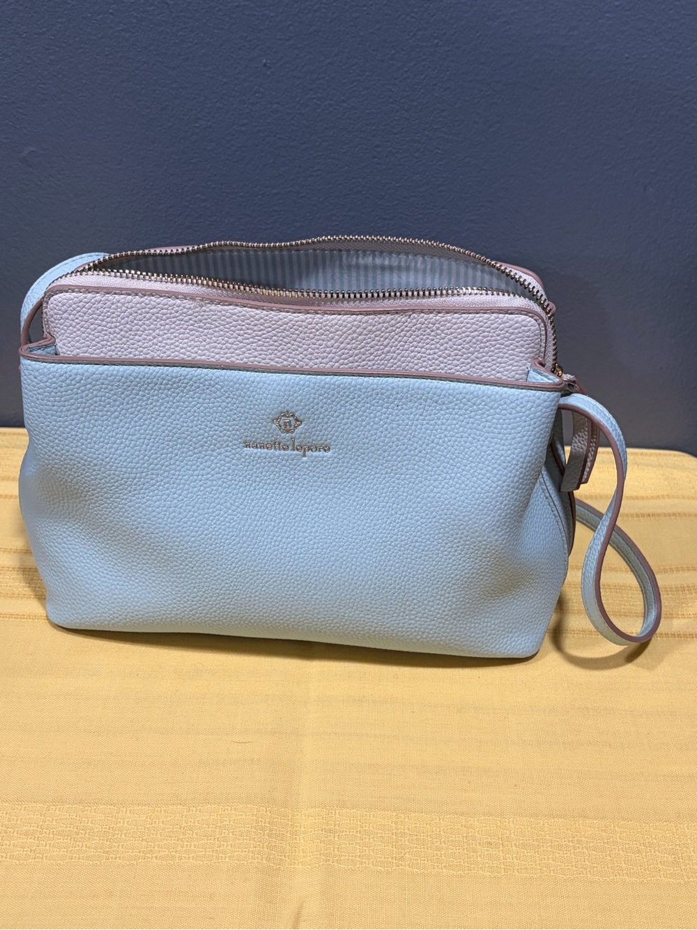 Nanette Lepore Halsey Multi Section Crossbody Organizer Bag Pastel Blue Pink